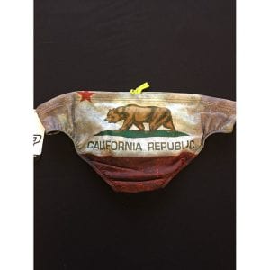 Alternative view of Q Swimwear Male Water Polo Brief - California Republic