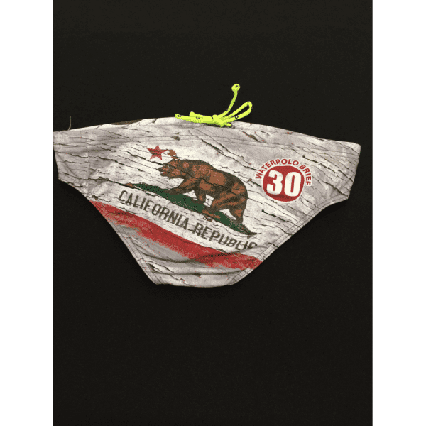 Q Swimwear Male Water Polo Brief - 2016 FK California Republic - Image 2
