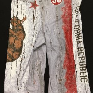 Alternative view of Q Swimwear Male Jammer 2016 FK California Republic