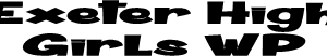 Exeter High Girls Water Polo